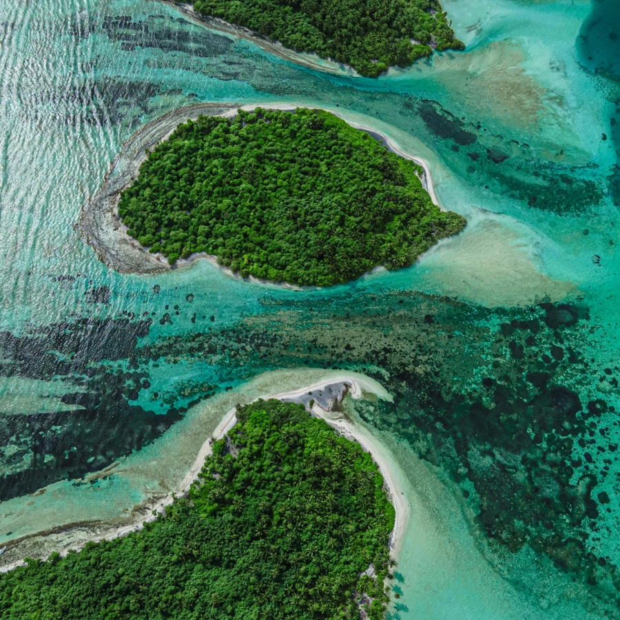 Try Scuba Diving — Andaman