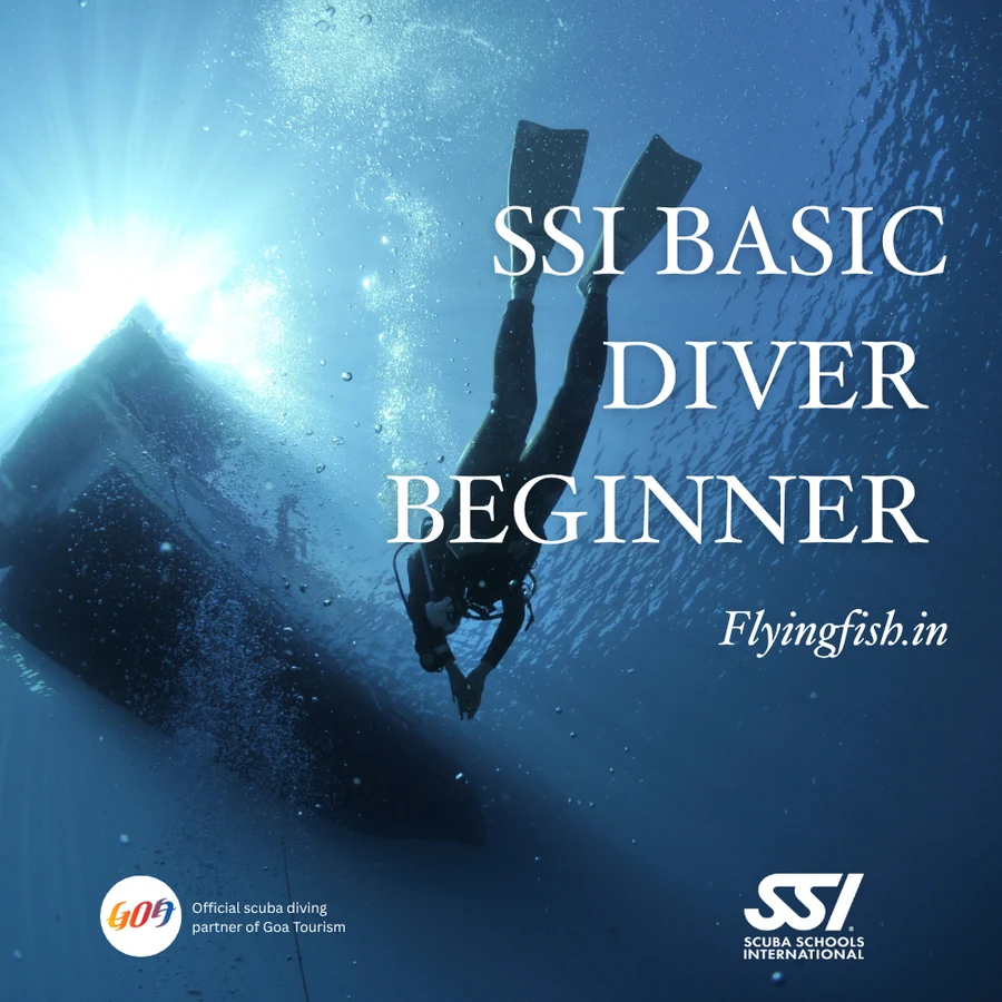 SSI Basic Diver — Build Your Own Dive