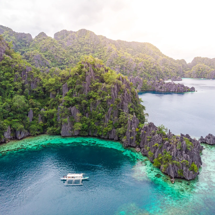 Coron — Sea Turtles diving