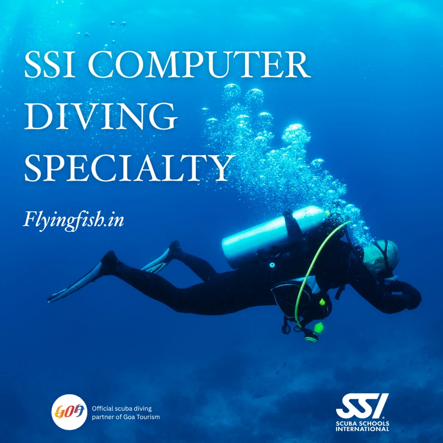 Computer Diving Specialty — Goa