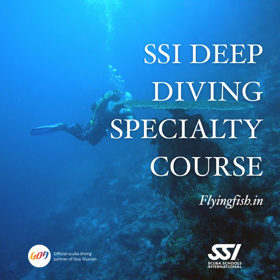 Deep Diving Specialty