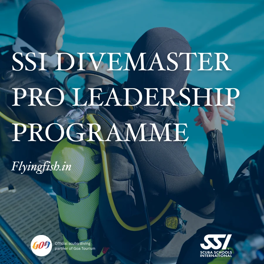 SSI Divemaster — Pro Leadership Programme — Goa