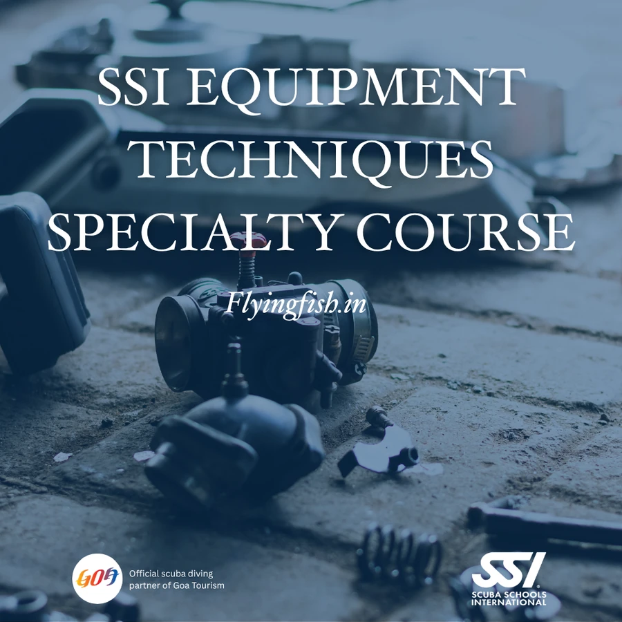 Equipment Techniques Specialty — Goa