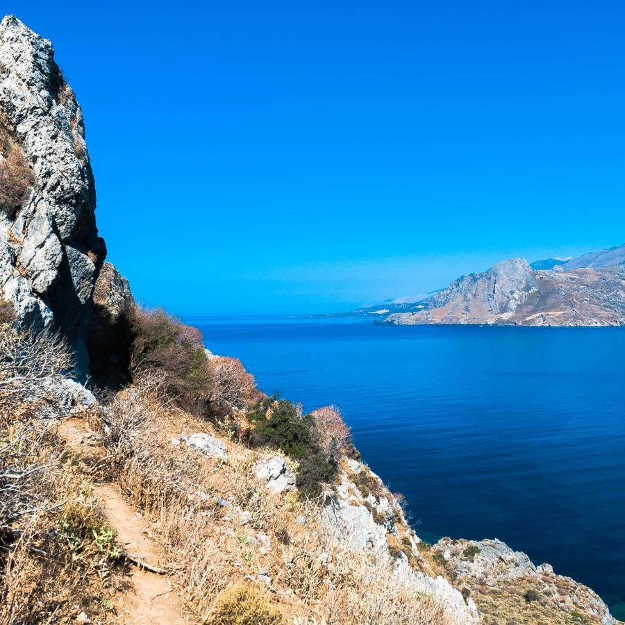 Manta Alley Expedition — Komodo