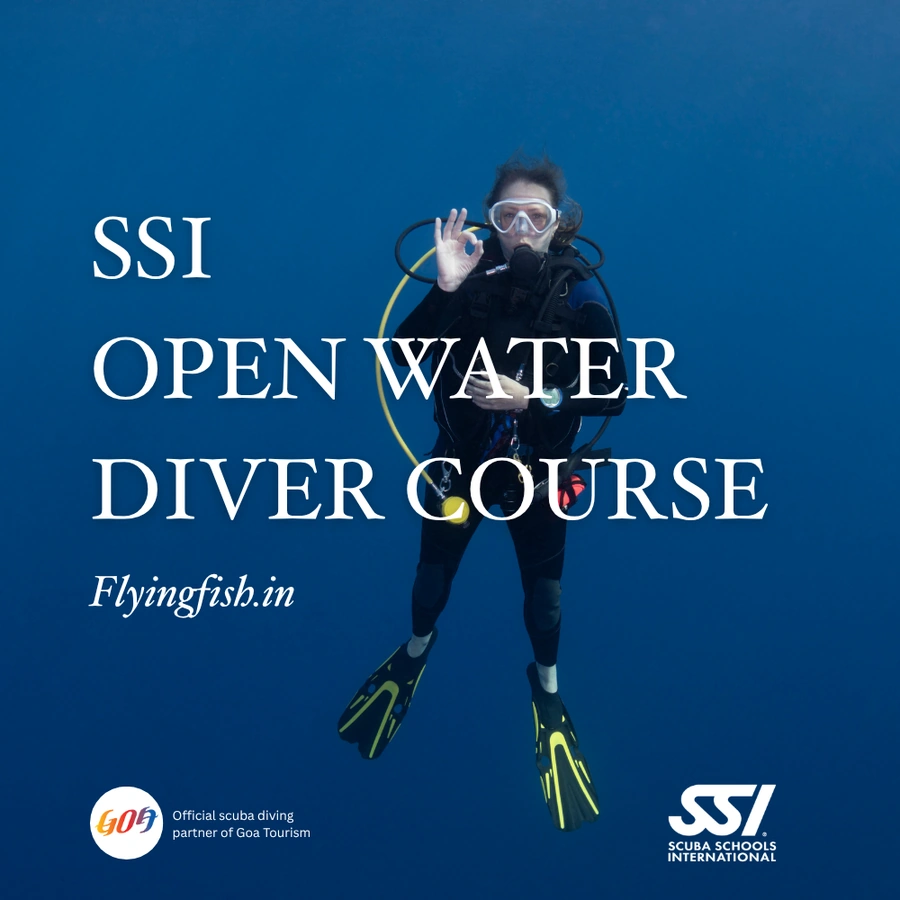 SSI Open Water Diver