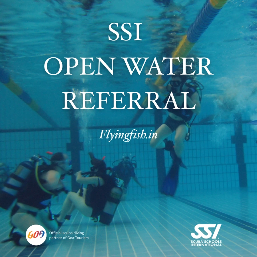 Open Water Referral — Pool & Theory in Goa