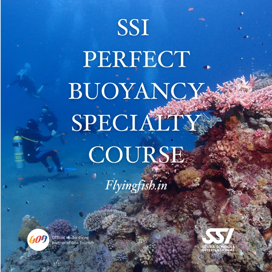 Perfect Buoyancy Specialty