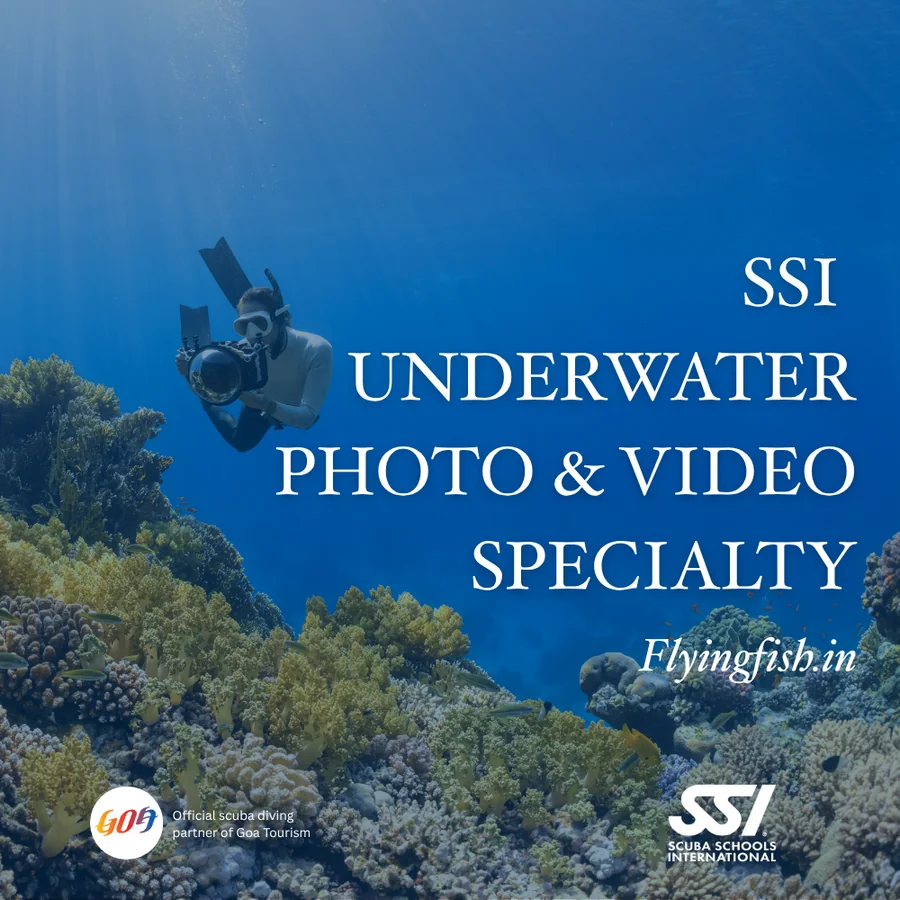 Underwater Photo & Video Specialty