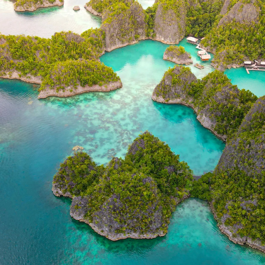 Raja Ampat — Manta Rays diving