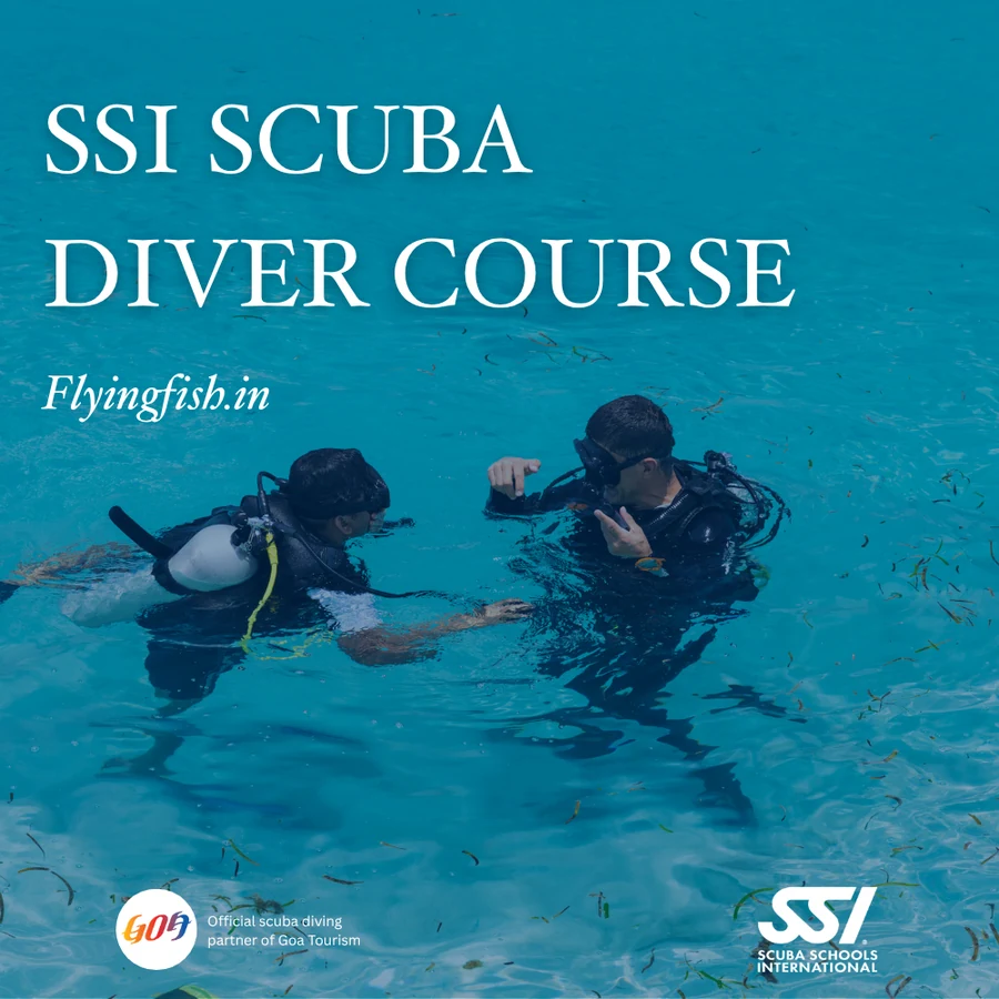 SSI Scuba Diver
