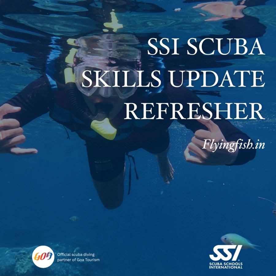 SSI Scuba Skills Update — Refresher — Goa