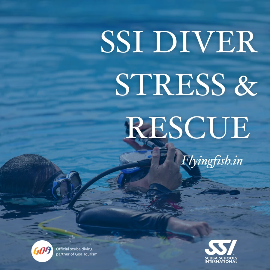 SSI Diver Stress & Rescue