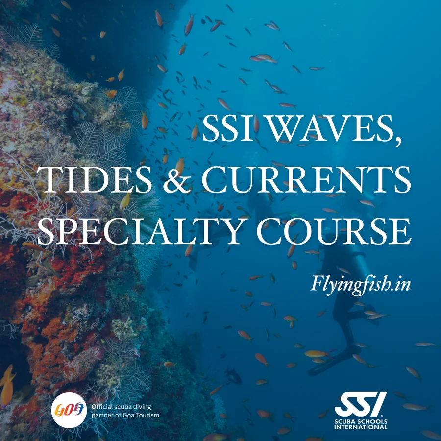 Waves, Tides & Currents Specialty
