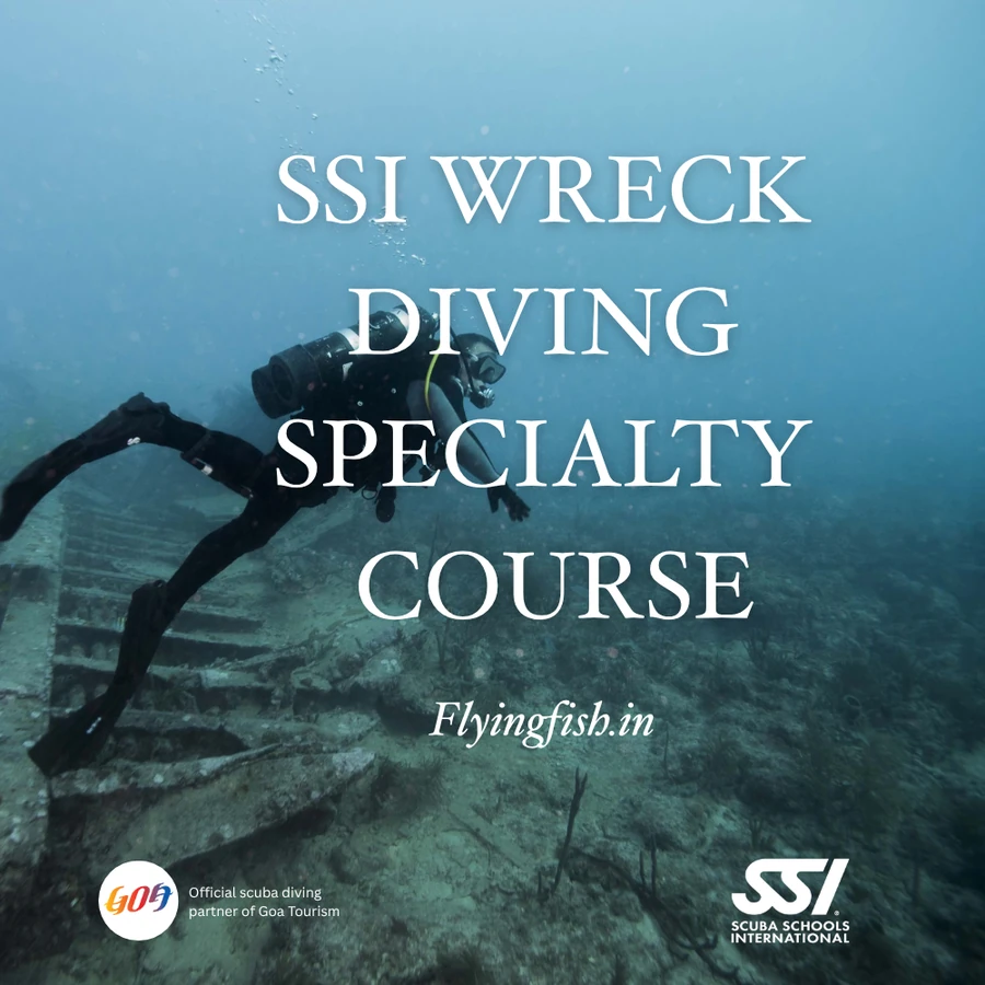 Wreck Diving Specialty