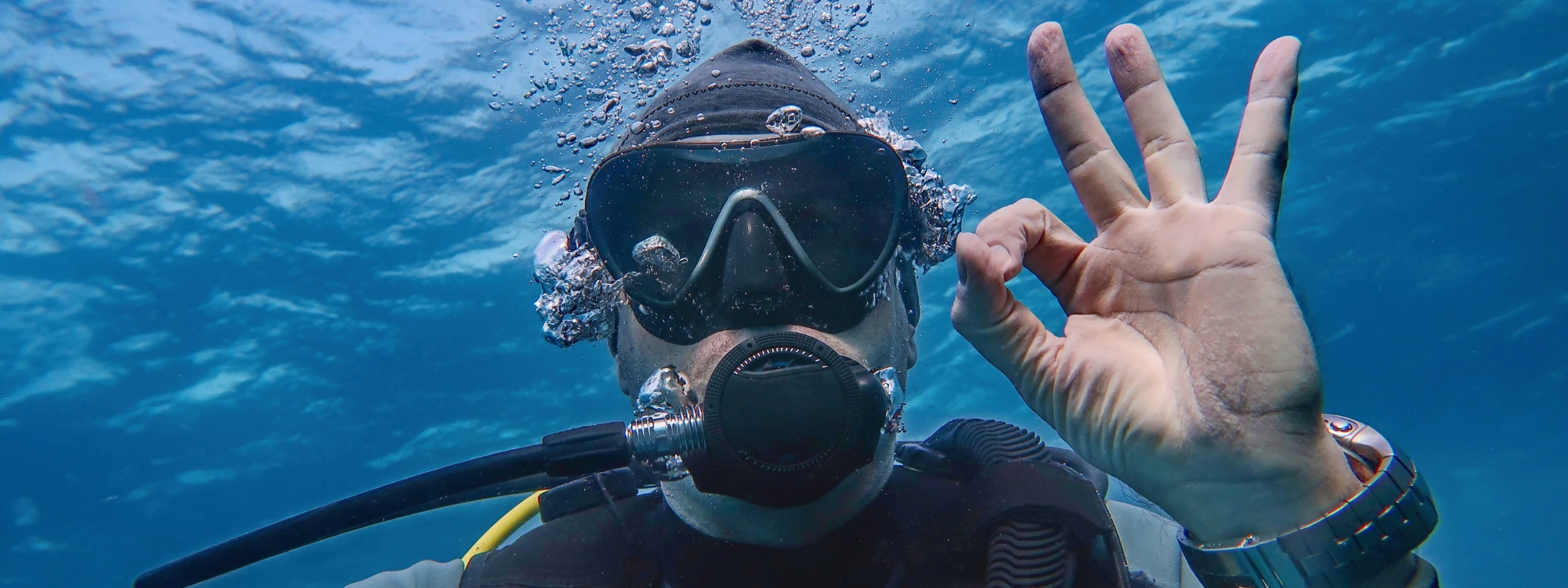Scuba divers underwater — talk to FlyingFish about your dive trip