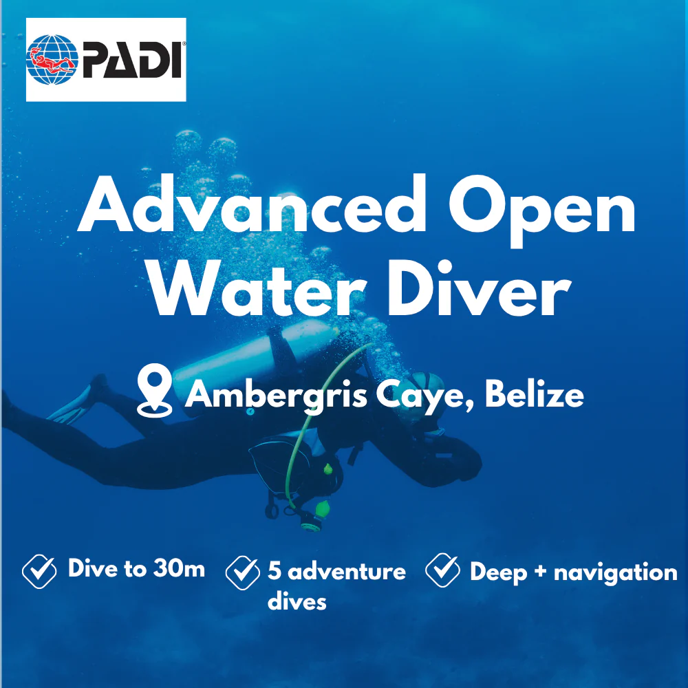 Advanced Open Water course in Ambergris Caye