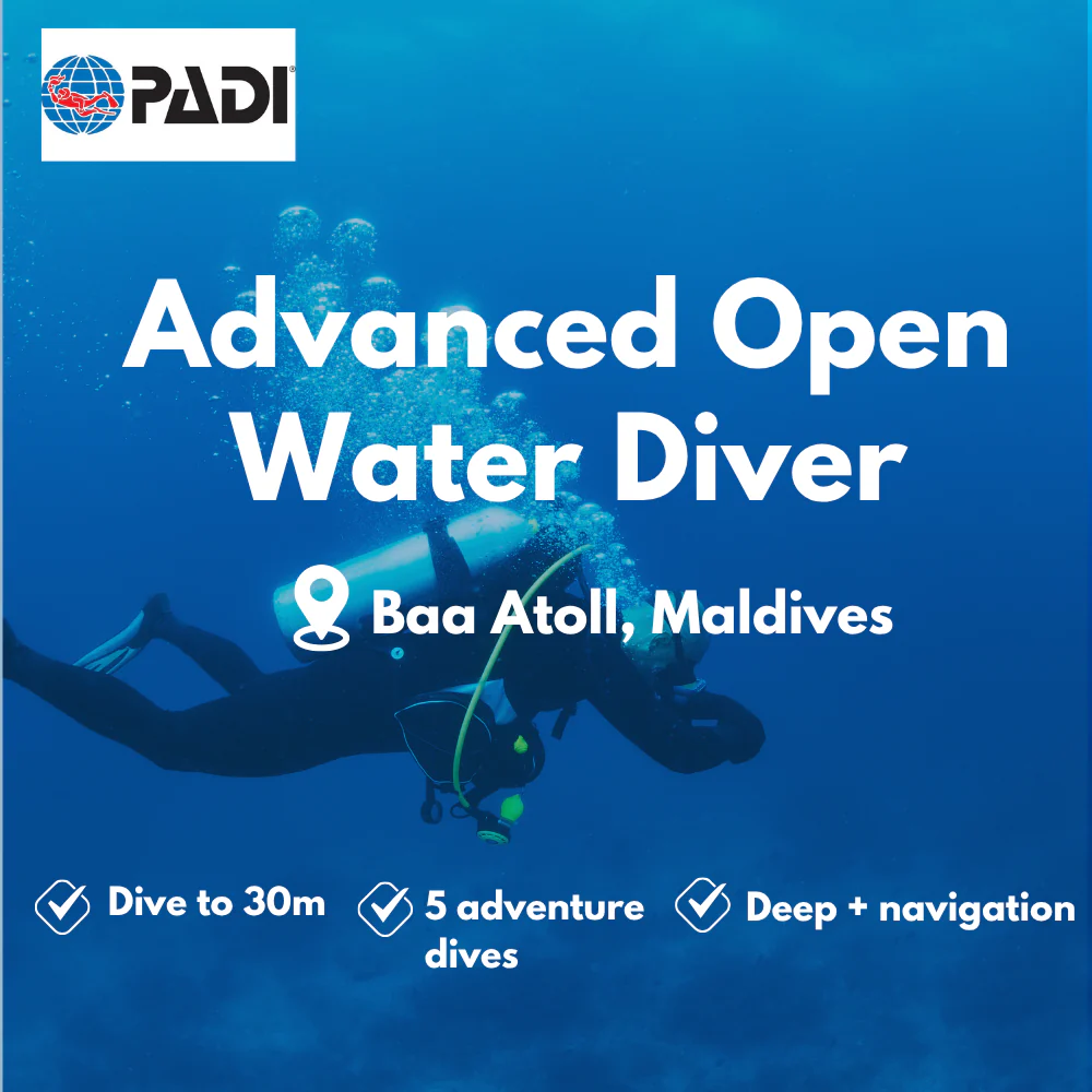 Advanced Open Water course in Baa Atoll