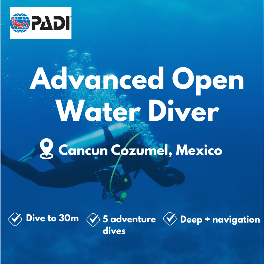 Advanced Open Water course in Cancun Cozumel