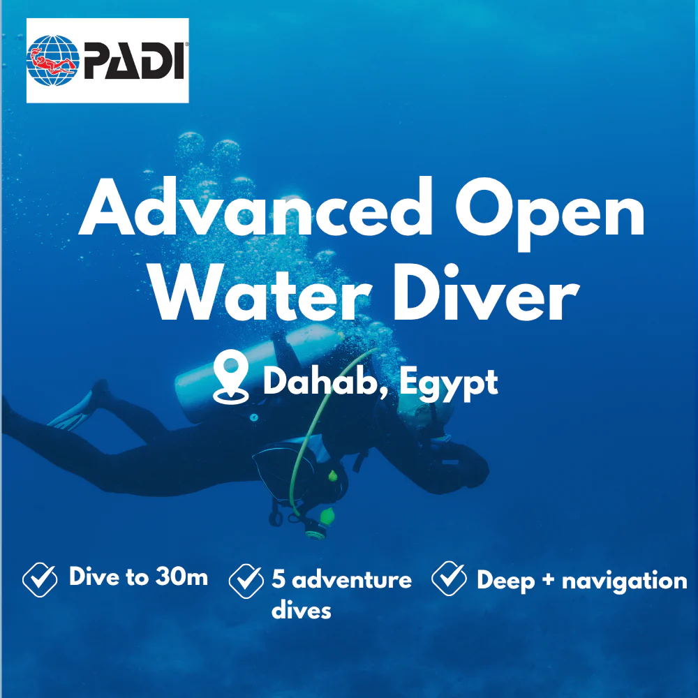 Advanced Open Water course in Dahab