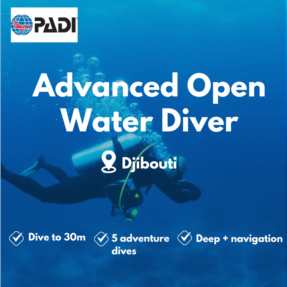 Advanced Open Water course in Djibouti