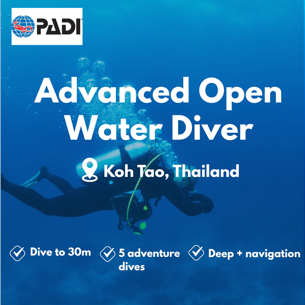 PADI Advanced Open Water course in Koh Tao