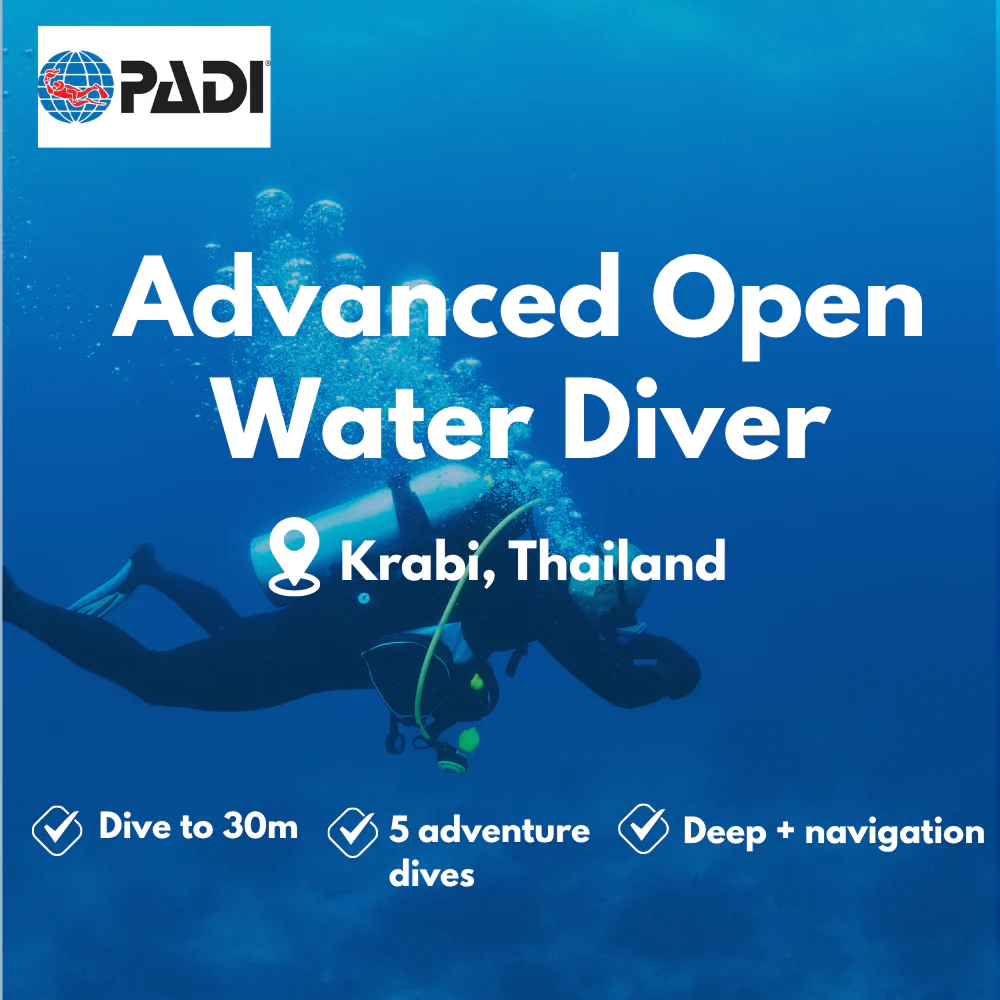 Advanced Open Water course in Krabi