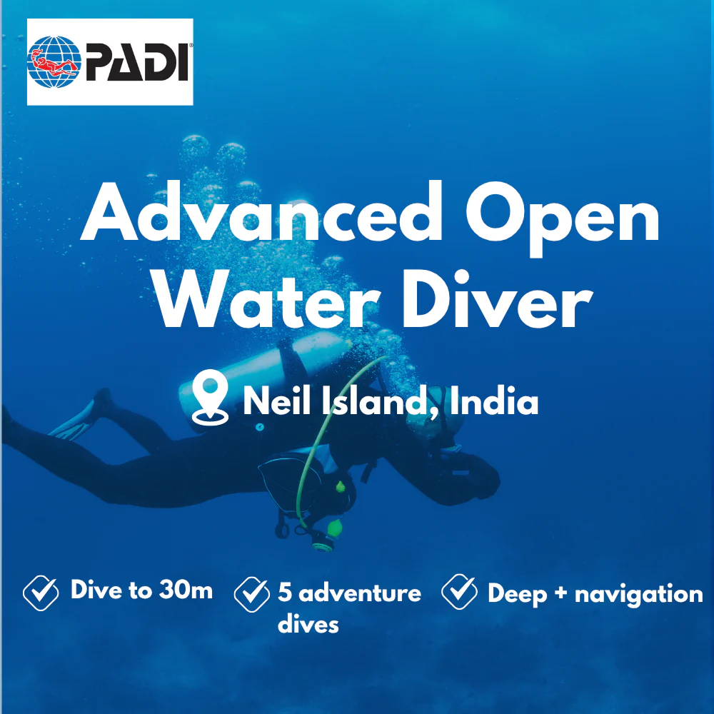 Advanced Open Water course in Neil Island