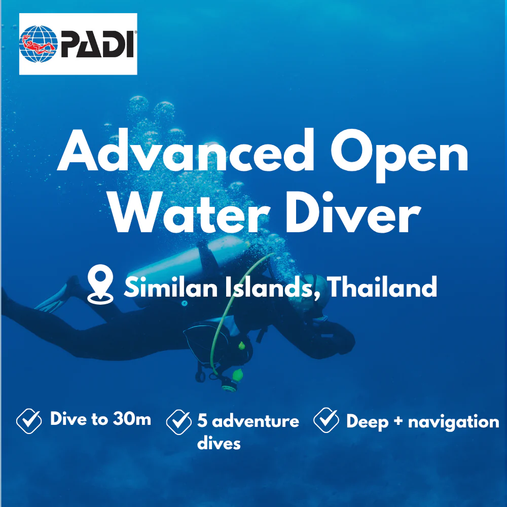 Advanced Open Water course in Similan Islands