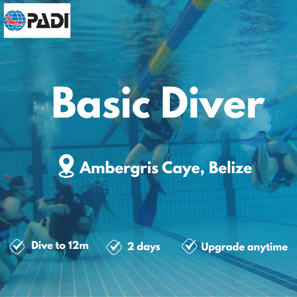 Basic Diver course in Ambergris Caye