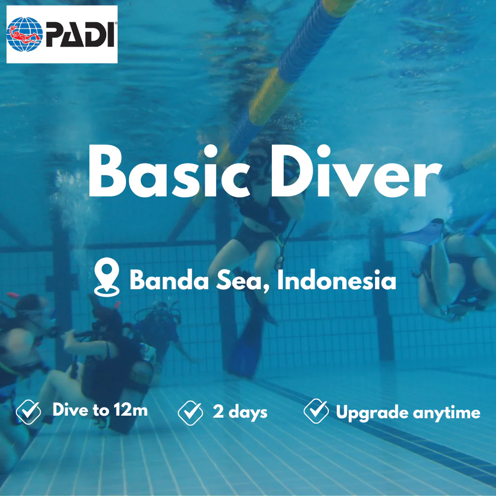 Basic Diver course in Banda Sea