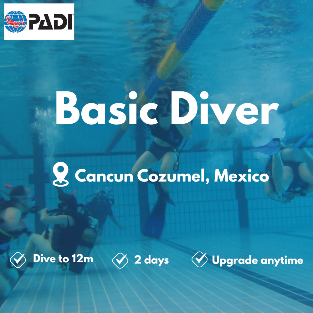 PADI Basic Diver course in Cancun Cozumel