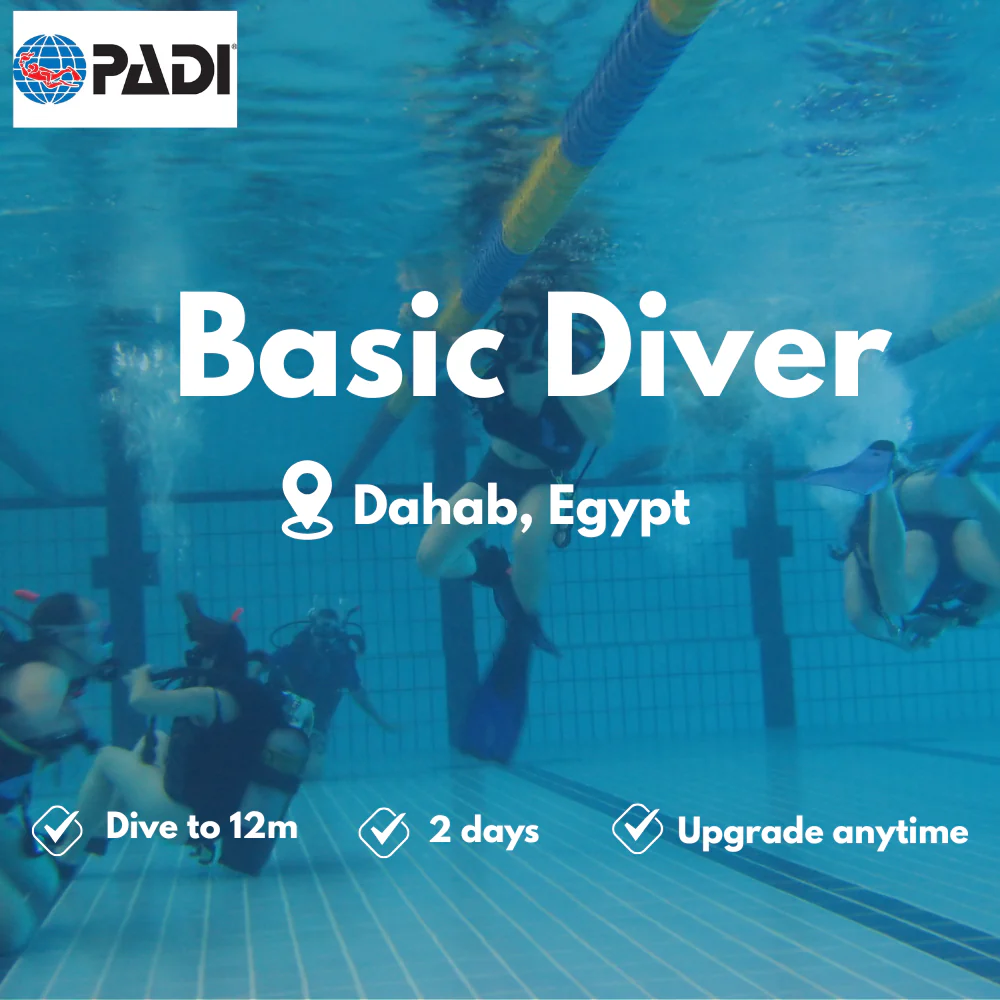 Basic Diver course in Dahab
