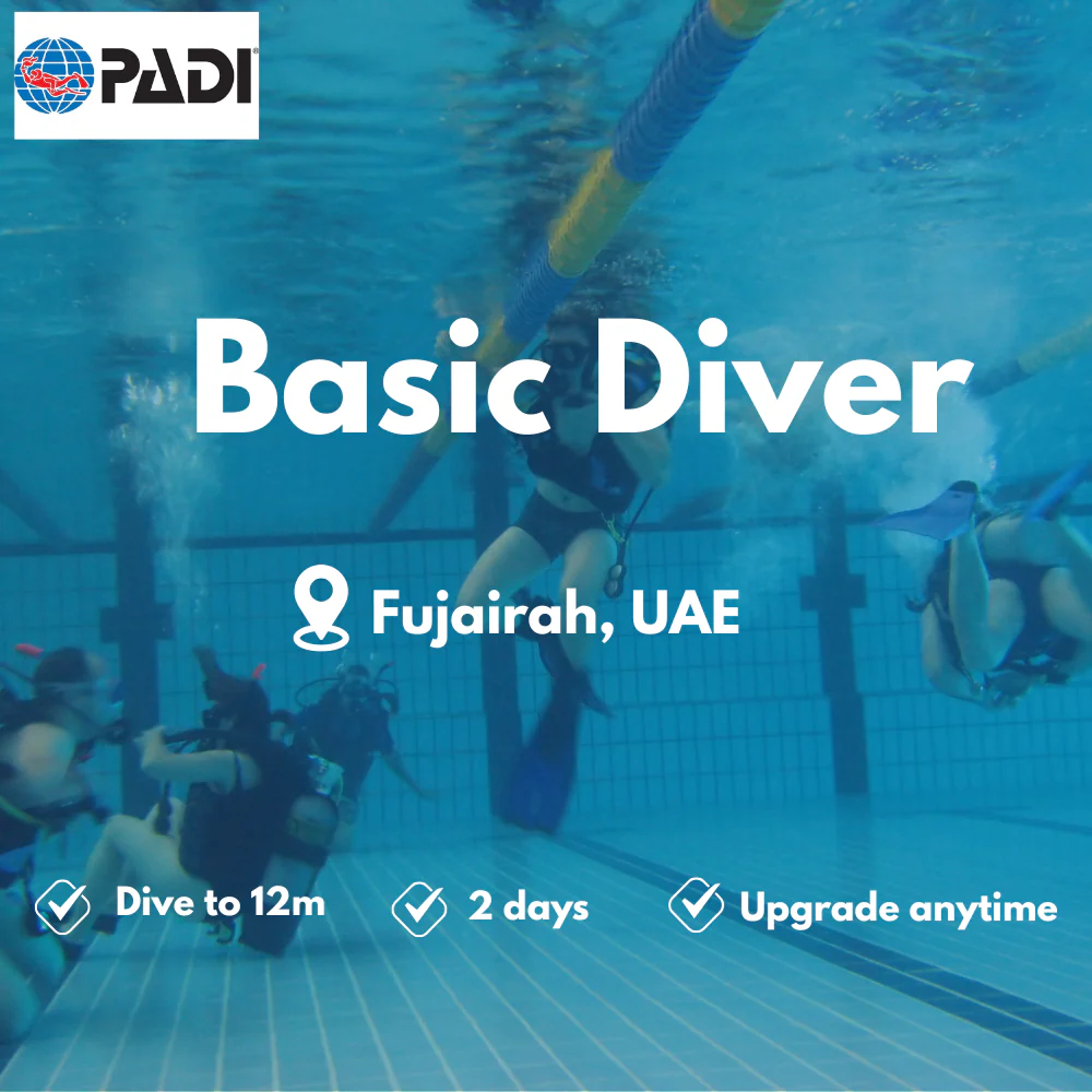 PADI Basic Diver course in Fujairah