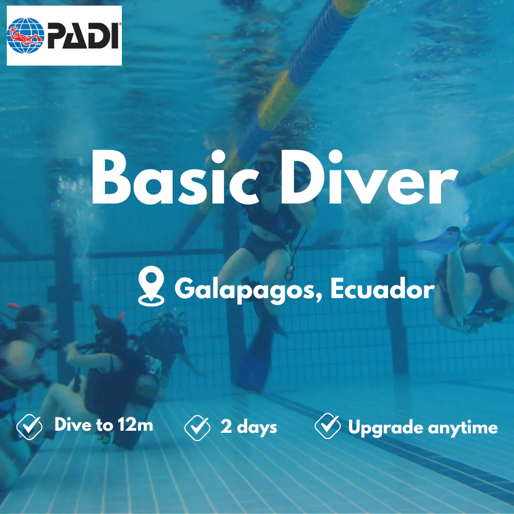 Basic Diver course in Galapagos