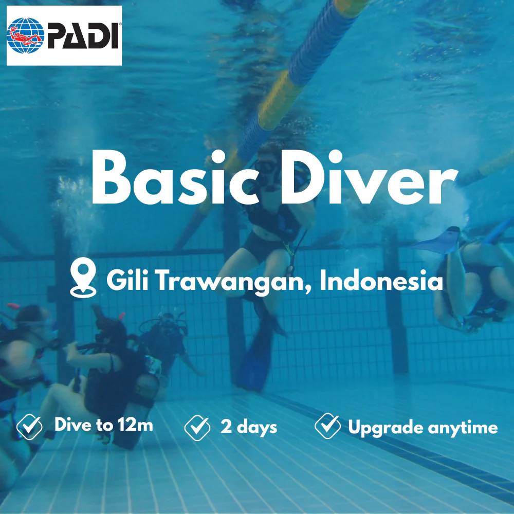 PADI Basic Diver course in Gili Trawangan
