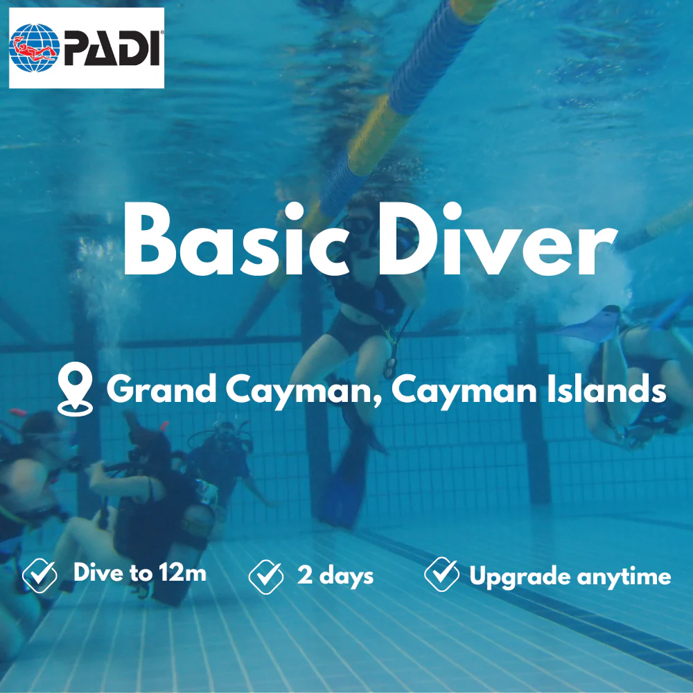 Basic Diver course in Grand Cayman
