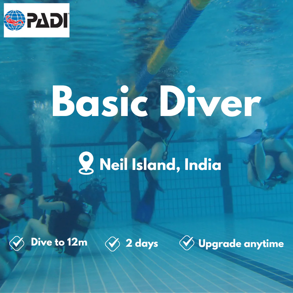 PADI Basic Diver course in Neil Island