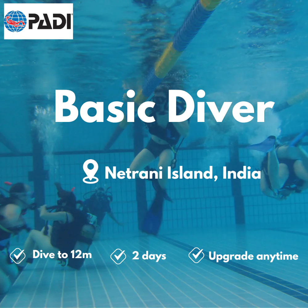 Basic Diver course in Netrani Island