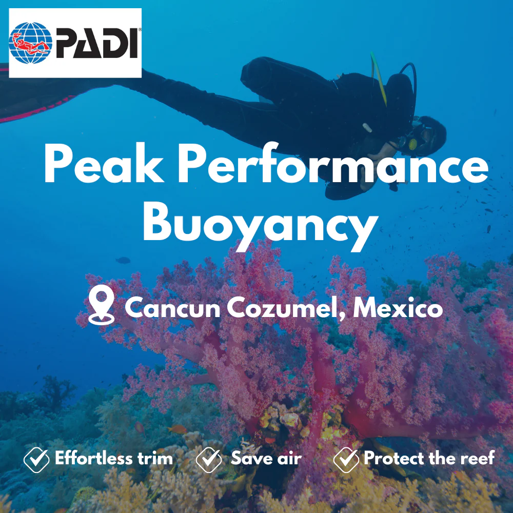 Peak Performance Buoyancy course in Cancun Cozumel