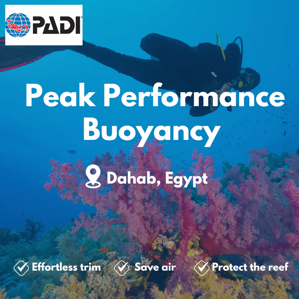 Peak Performance Buoyancy course in Dahab