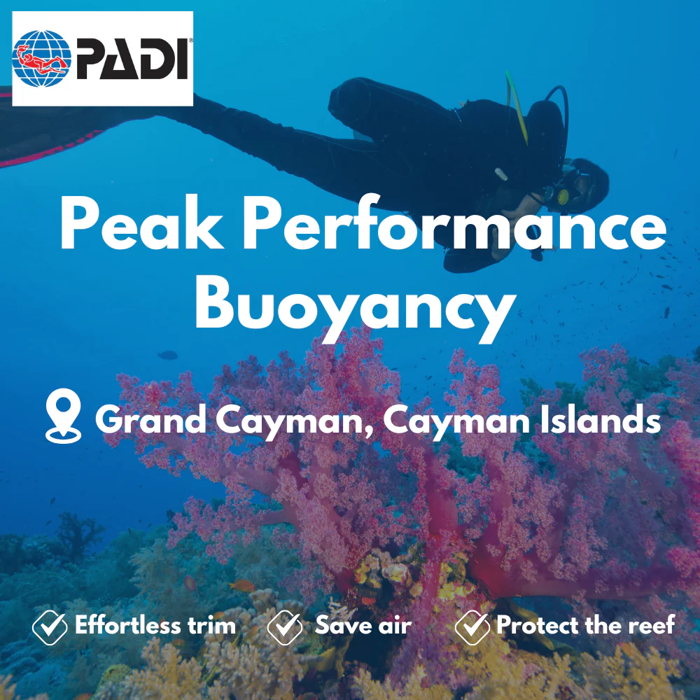 Peak Performance Buoyancy course in Grand Cayman