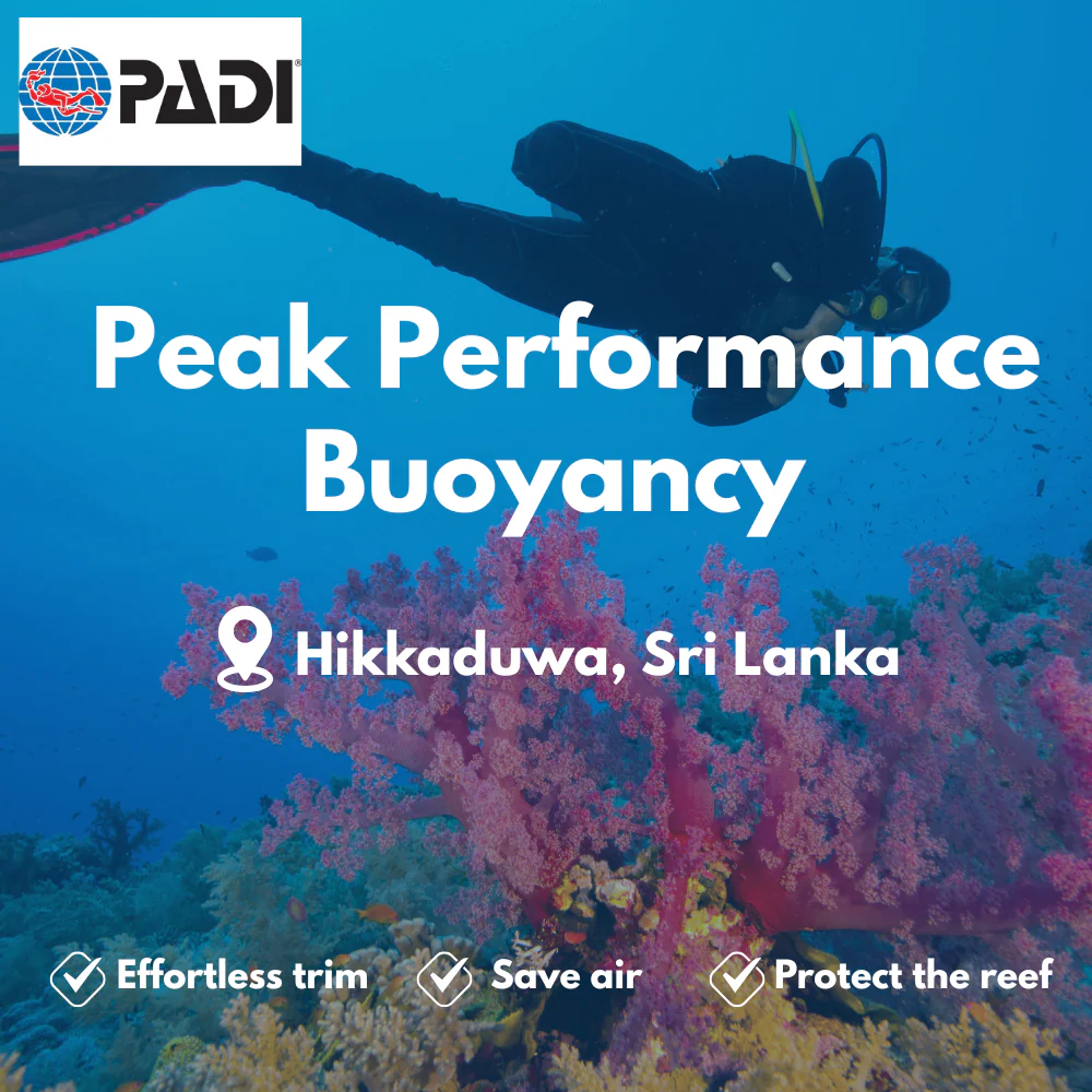 Peak Performance Buoyancy course in Hikkaduwa