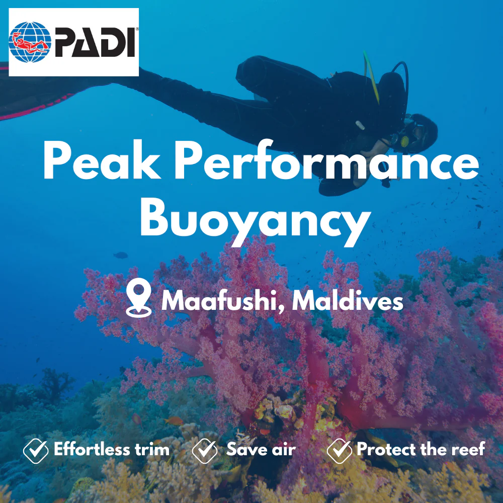 Peak Performance Buoyancy course in Maafushi