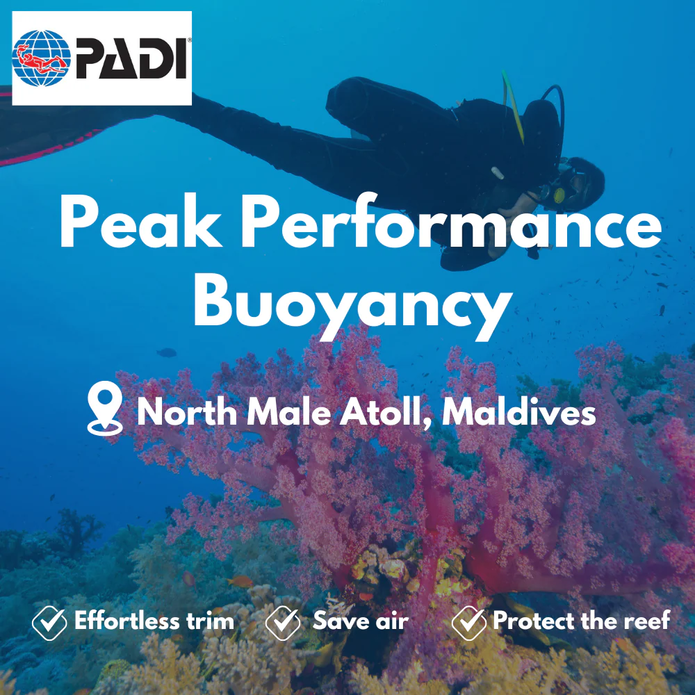 Peak Performance Buoyancy course in North Male Atoll