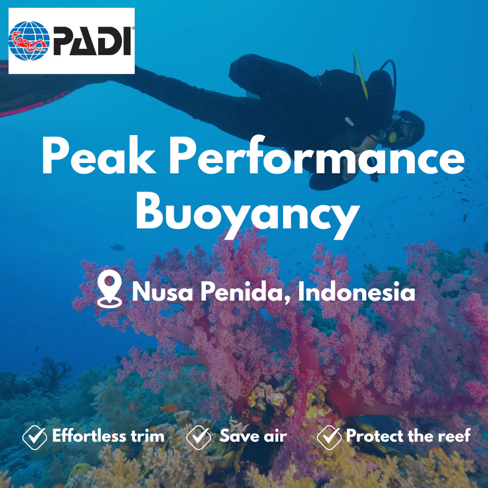 Peak Performance Buoyancy course in Nusa Penida