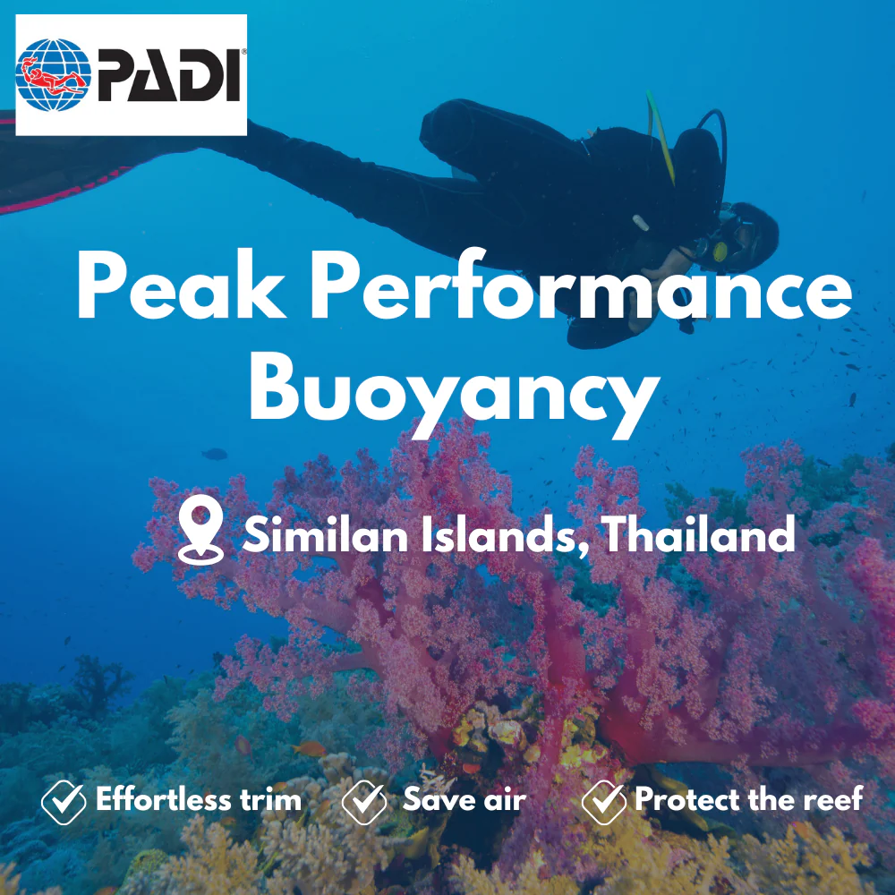 Peak Performance Buoyancy course in Similan Islands