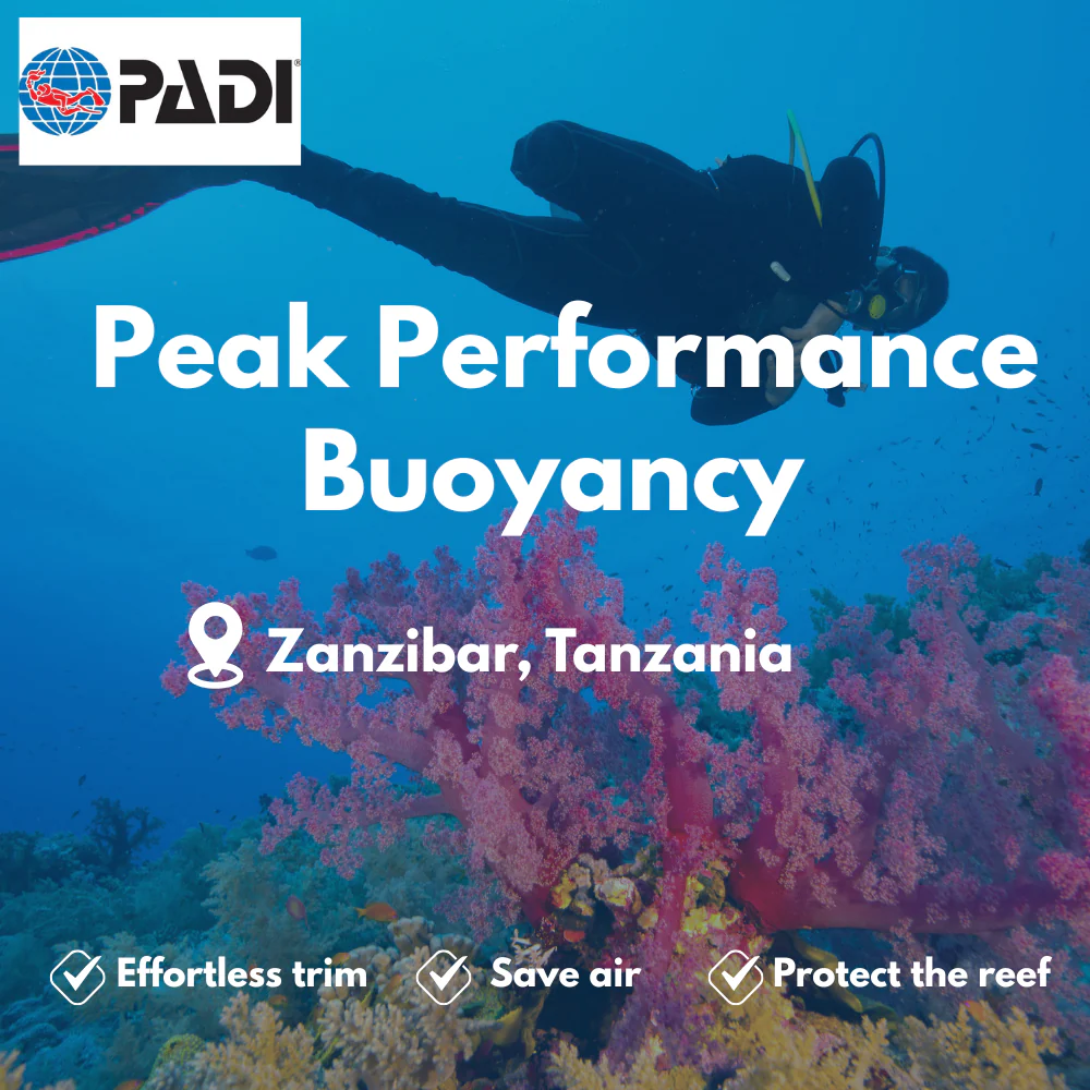PADI Peak Performance Buoyancy course in Zanzibar