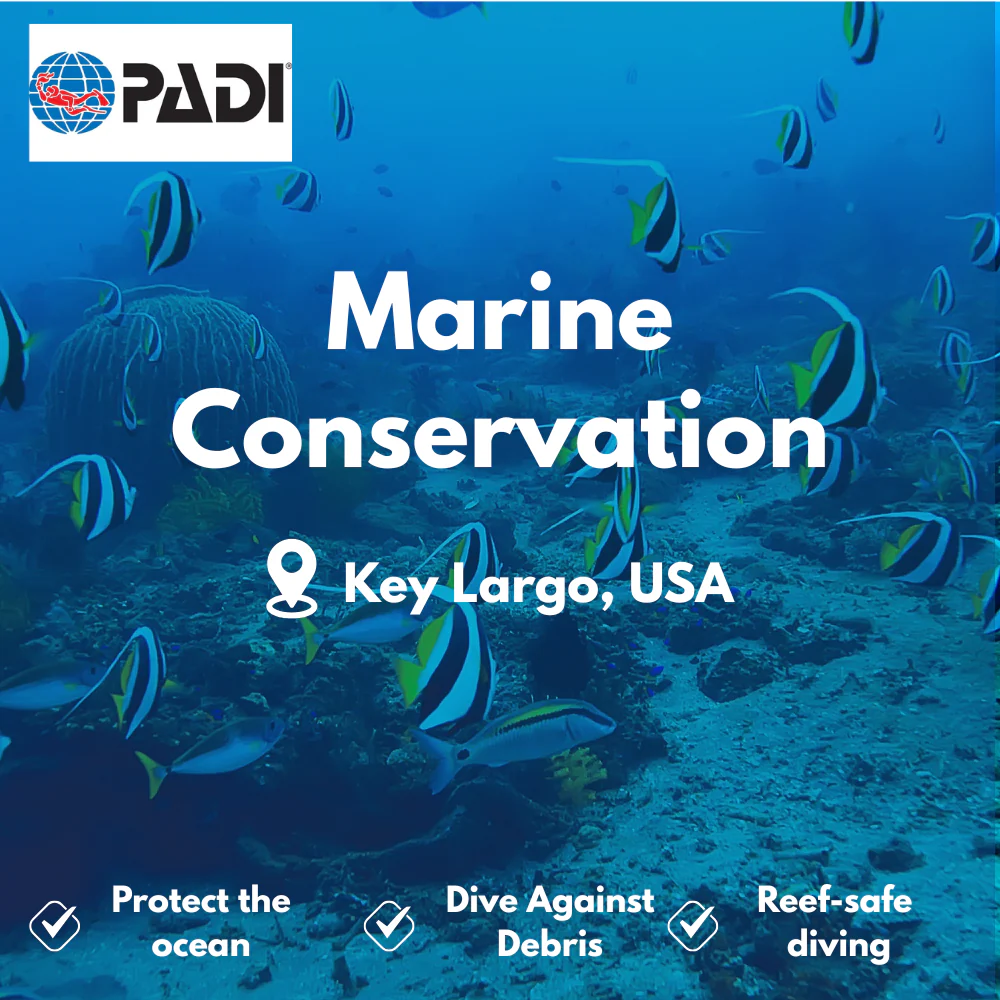 Conservation & AWARE course in Key Largo
