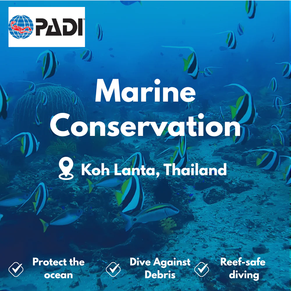Conservation & AWARE course in Koh Lanta