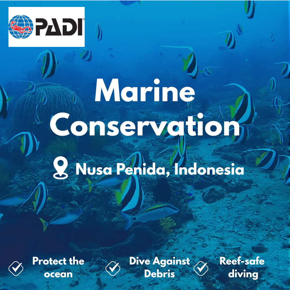 Conservation & AWARE course in Nusa Penida